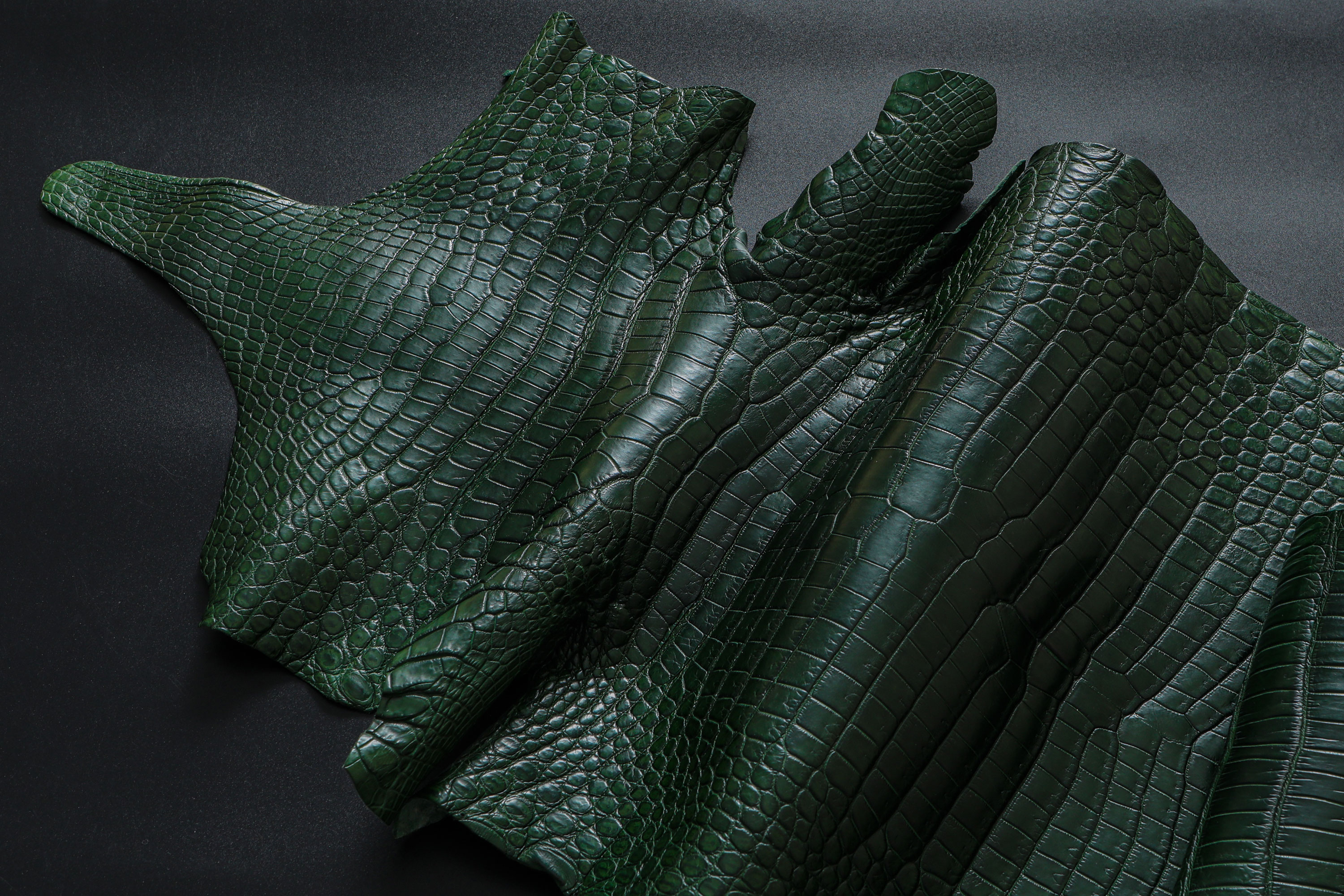 王者の緑クロコダイル