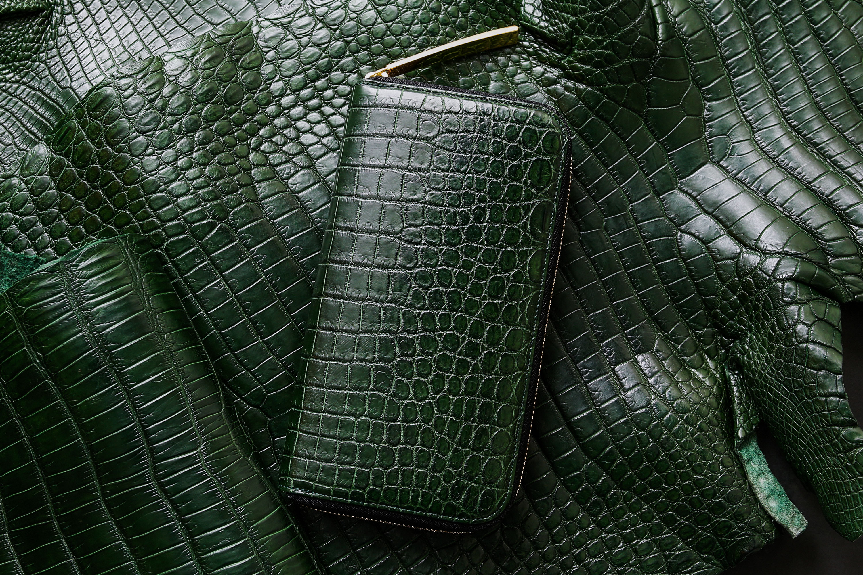 王者の緑クロコダイル