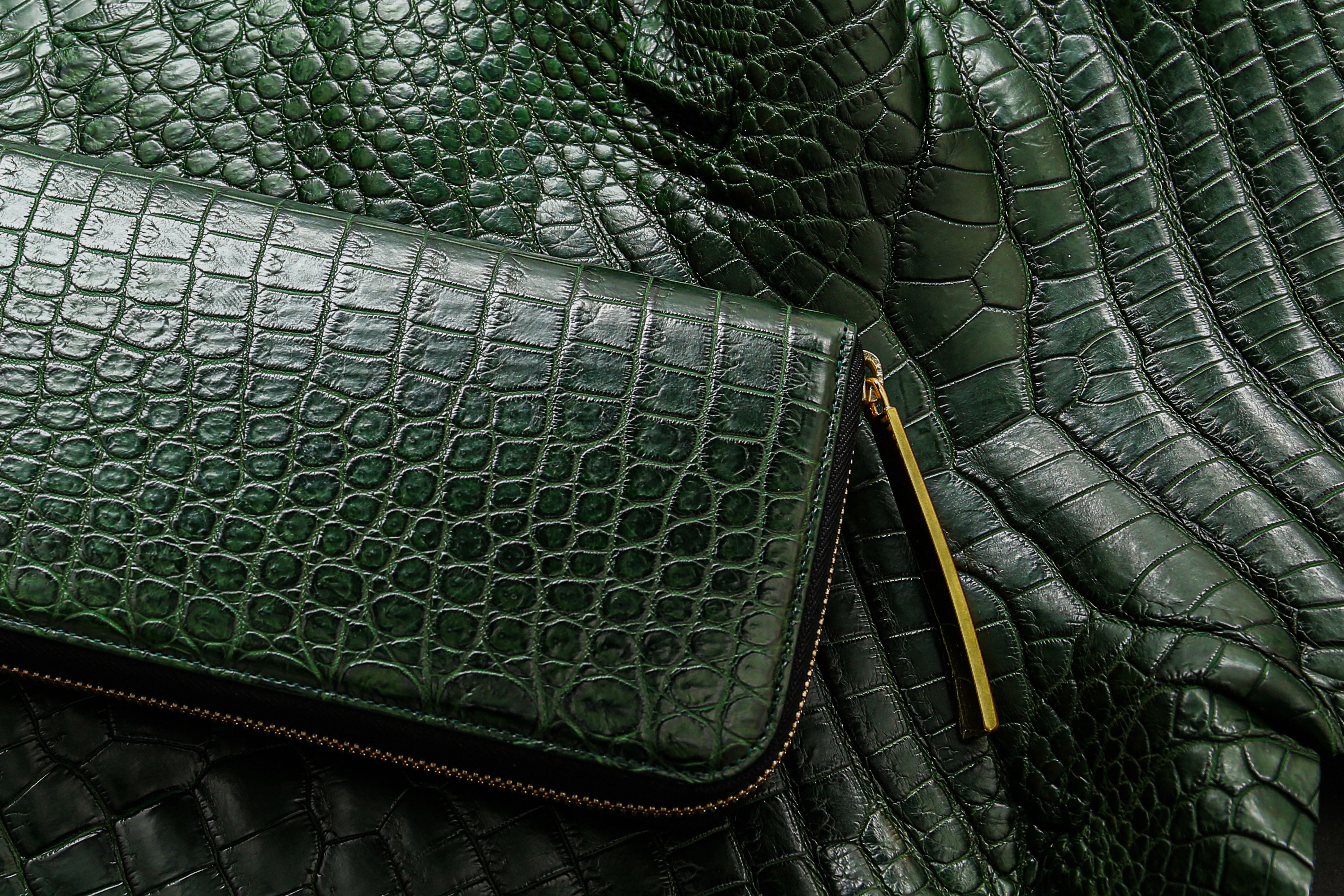 王者の緑クロコダイル